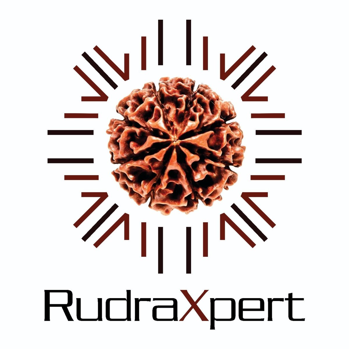 RudraXpert