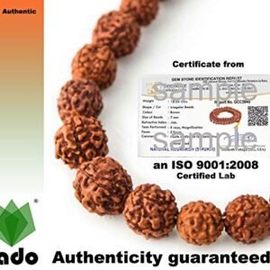 Vado 5 Mukhi Rudraksha Mala 108 Beads with Certificate 7 mm Brown